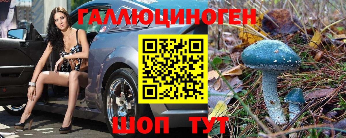 Галлюциногенные грибы Psilocybe  Вход с VPN  Волжск 